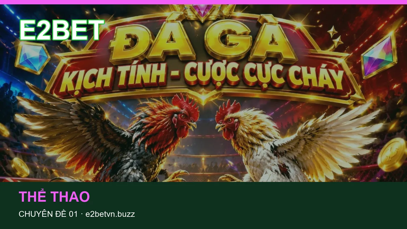 Hỏi đáp về Bóng đá: quy trình tự kiểm tra trên E2BET